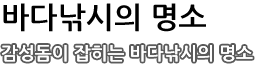 바다낚시의 명소 - 감성돔이 잡히는 바다낚시의 명소